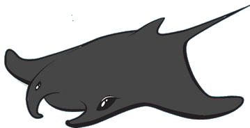 Moray Eel